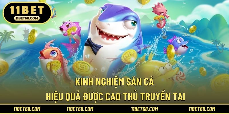 Kinh nghiệm săn cá hiệu quả được cao thủ truyền tai