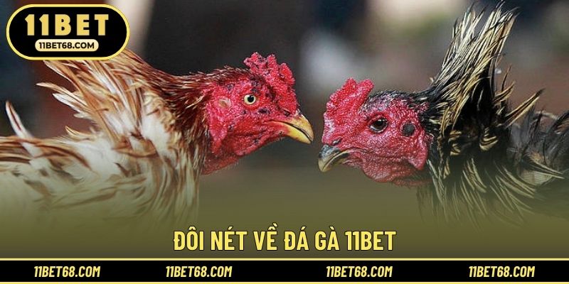 Đôi nét về đá gà 11BET