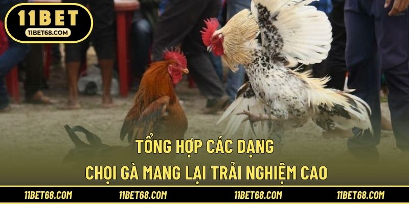Tổng hợp các dạng chọi gà mang lại trải nghiệm cao