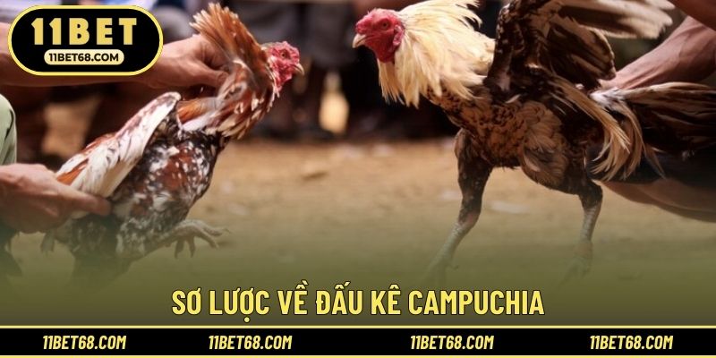 Sơ lược về đấu kê Campuchia