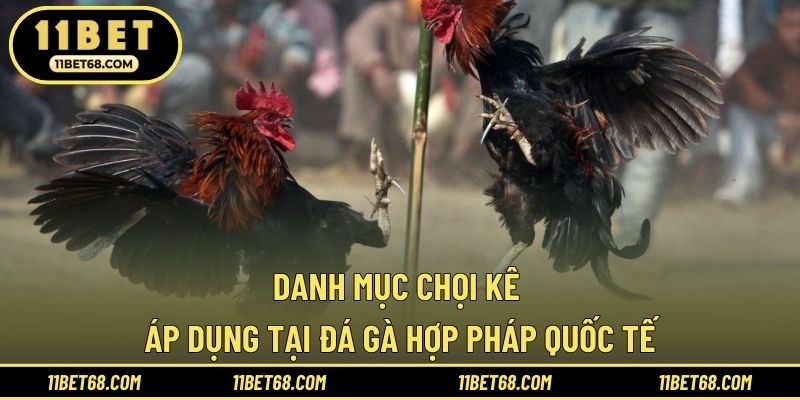 Danh mục chọi kê áp dụng tại đá gà hợp pháp quốc tế