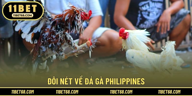 Đôi nét về đá gà Philippines