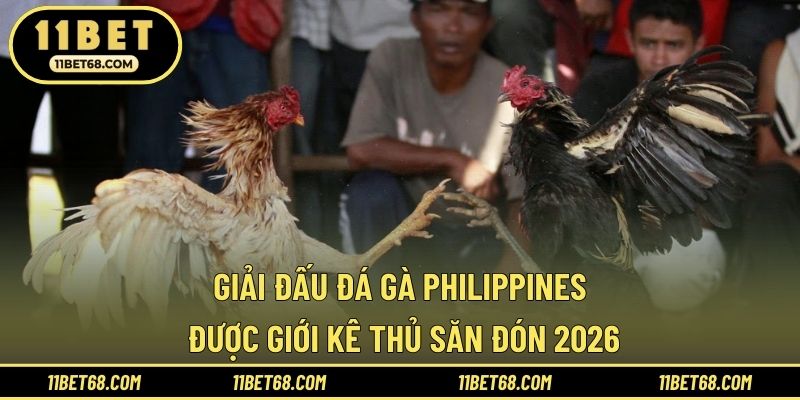 Giải đấu đá gà Philippines được giới kê thủ săn đón 2026