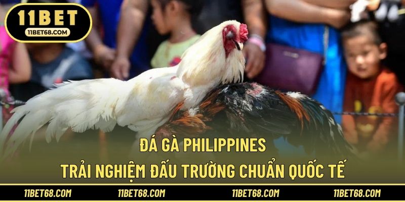 Đá Gà Philippines - Trải Nghiệm Đấu Trường Chuẩn Quốc Tế