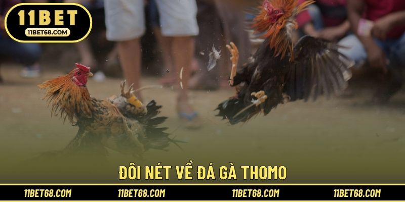Đôi nét về đá gà Thomo