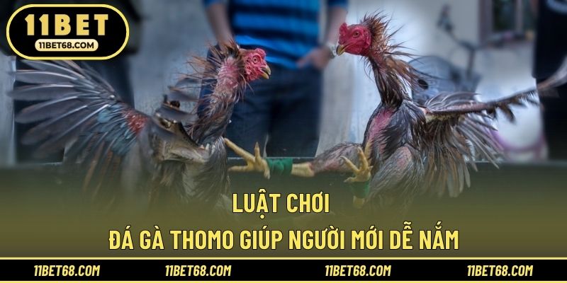 Luật chơi Đá gà Thomo giúp người mới dễ nắm