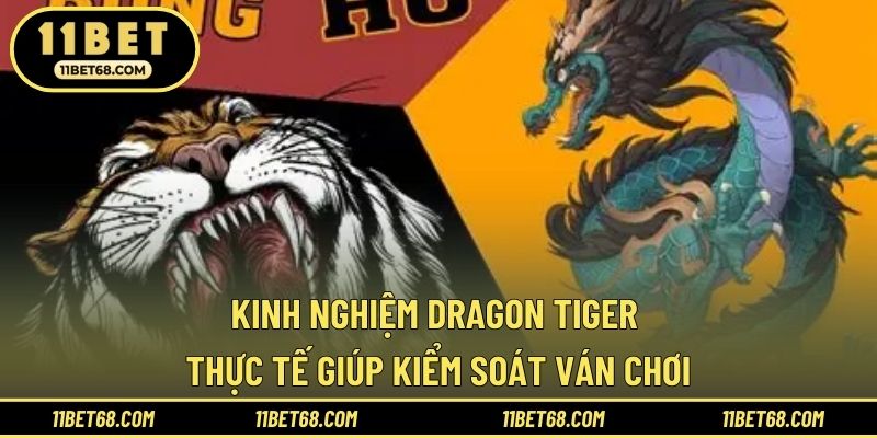 Kinh nghiệm Dragon Tiger thực tế giúp kiểm soát ván chơi