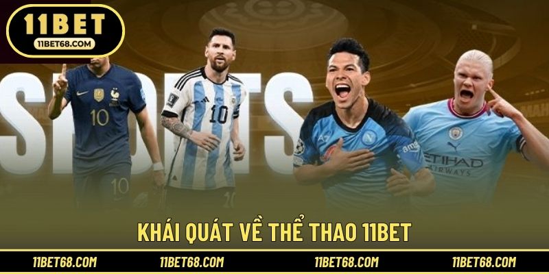 Khái quát về thể thao 11BET