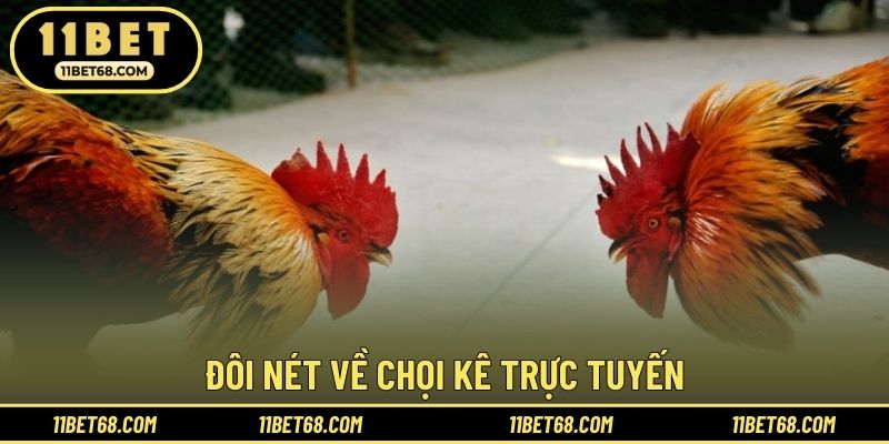 Đôi nét về chọi kê trực tuyến