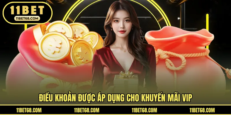 Những quy định của chương trình khuyến mãi VIP
